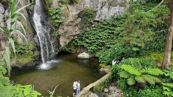 Sao Miguel