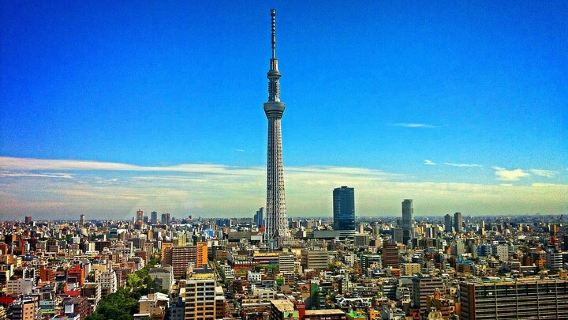 TokyoTours