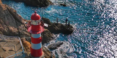 深圳大梅沙+背仔角+仙湖植物園一日遊中英文服務不含門票