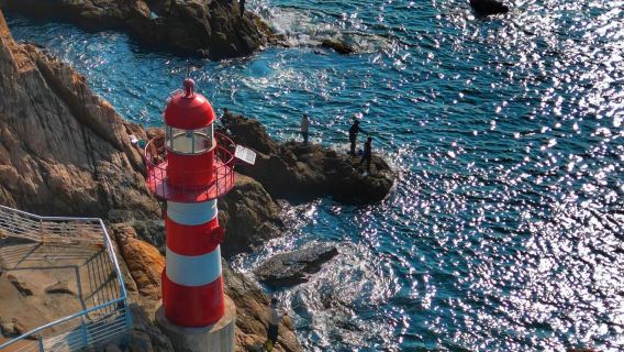 однодневный тур по ботаническому индивидуальный трансфер/аренда автомобиля с водителем Шэньчжэнь Дамейша + Сяомейша + Бэйцзайцзяо + Сяньху (доступен английский язык)