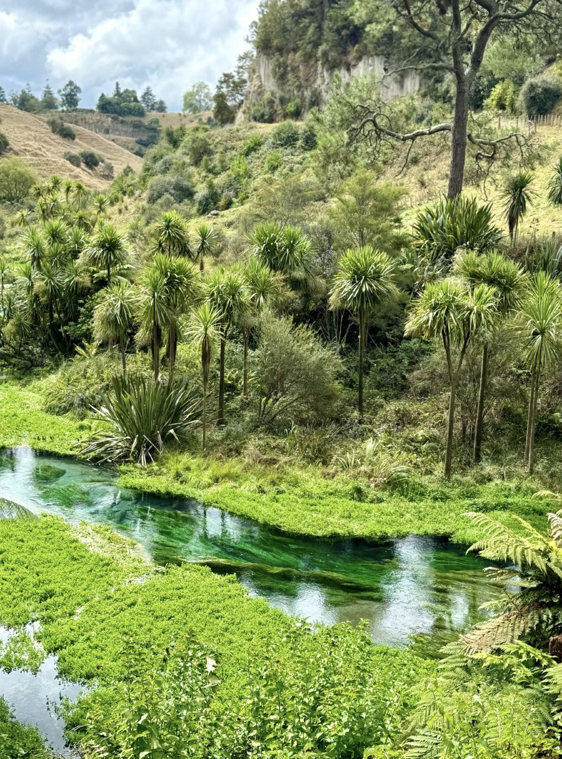 北島經典＊藍泉＋地熱公園＋胡卡瀑布＋陶波湖：奧克蘭包車一日遊