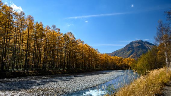 Explora los Alpes Japoneses: excursión de un día a Kamikochi desde Nagoya