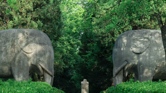 南京日遊