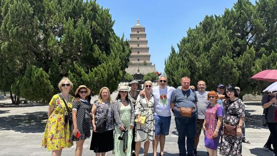 Xi'an Private In-depth Day Tour including Shaanxi History Museum and Big Wild Goose Pagoda