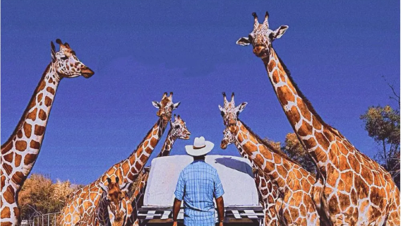 Safari Park Kanchanaburi + RIVER KWAI BRIDGE + Death Railway 1-day tour