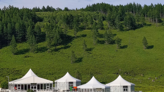 內蒙古-呼和浩特-全境︱導遊/地陪/翻譯︱中文/英語/多語種︱商務出行/景區導覽/考察/團建/旅遊服務