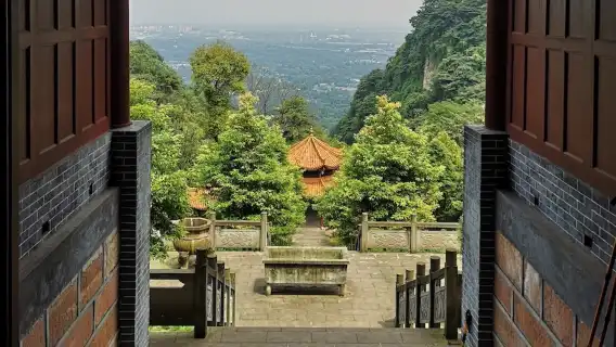Hiking and tasting tea in Qingcheng Mountain - chengdu -Eatwith