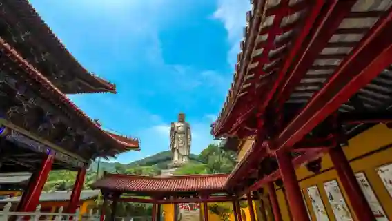 無錫靈山勝境+黿頭渚一日遊【觀紅嘴鷗&純玩含門票&贈冰箱貼】