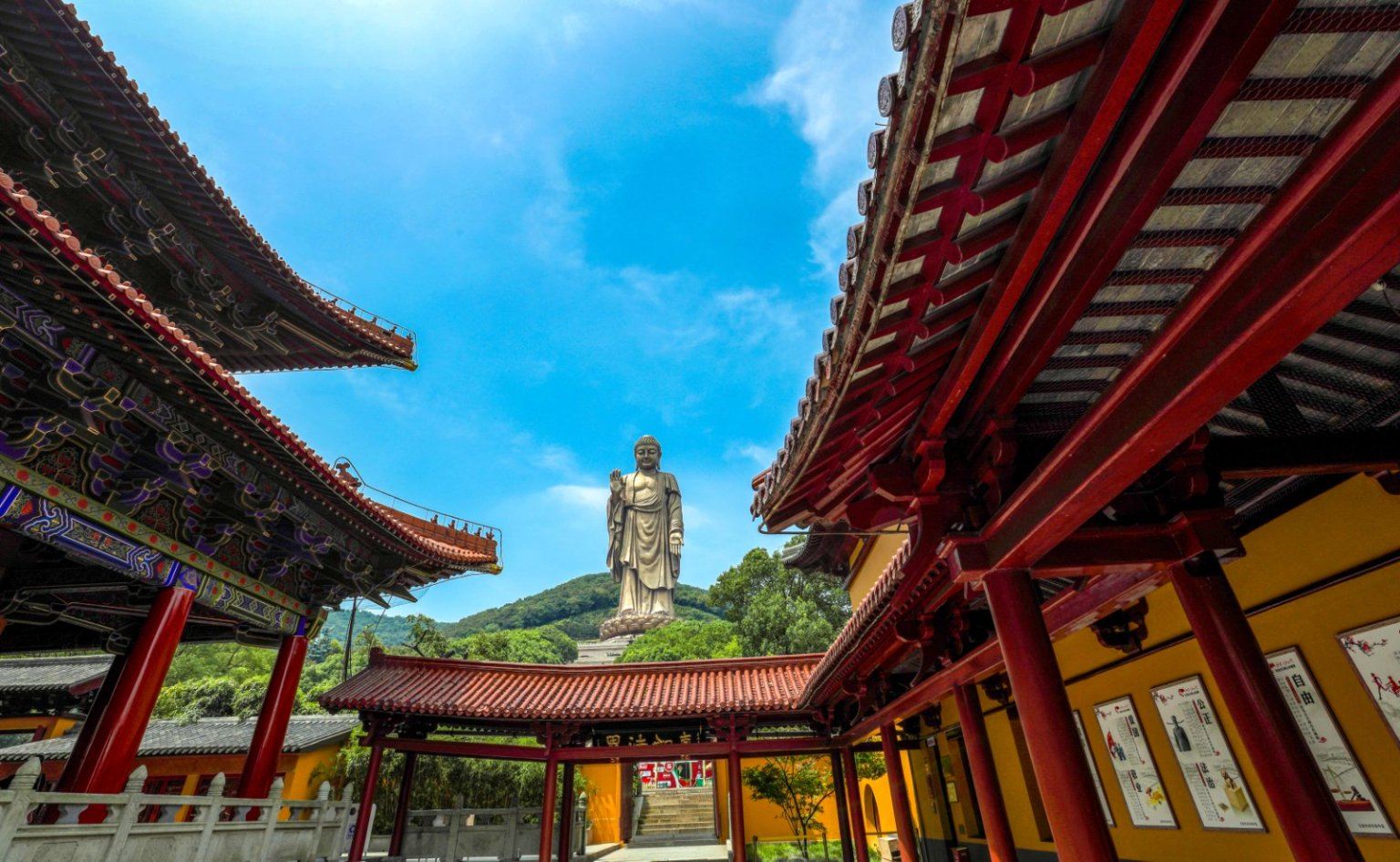 無錫靈山勝境+黿頭渚一日遊【觀紅嘴鷗&純玩含門票&贈冰箱貼】