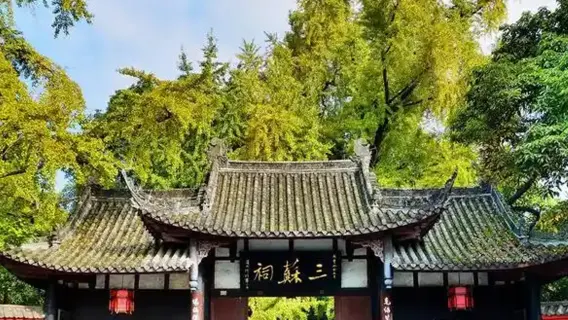 Vehículo servicio de coche privado con conductor en Meishan, guía, intérprete, acompañante local, recogida, exposición turística, inspección comercial, acompañamiento médico.