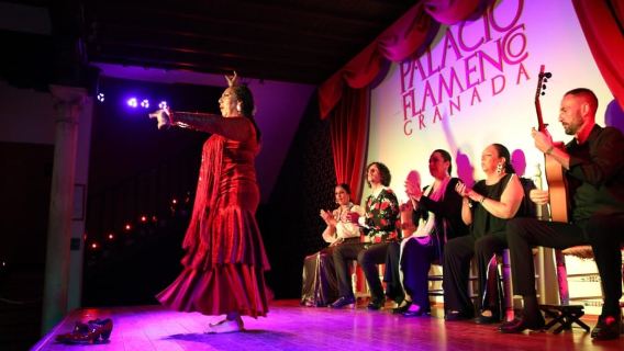 Granada: spettacolo di flamenco tradizionale di 1 ora al Palacio