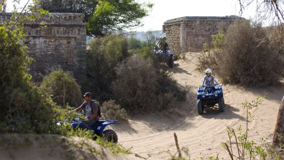 Đi xe đạp bốn bánh: 1 giờ gần Essaouira