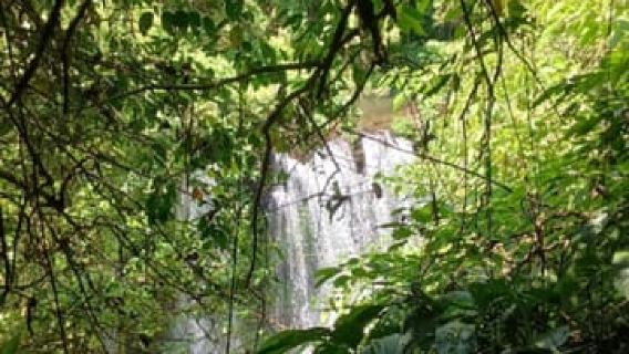 MUNDUK: Tour đi bộ xuyên rừng trong ngày