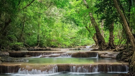 Desde Bangkok: tour en grupos pequeños por el parque Erawan y Kanchanaburi