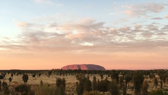 Uluru: Field of Light-Tour bei Sonnenaufgang mit Heißgetränken