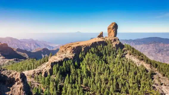 Las Palmas or Maspalomas: Contrasts tour of Gran Canaria