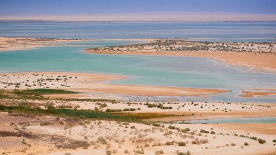 Cairo: Fayoum, Wadi El Rayan, and Wadi al Hitan 4x4 Tour