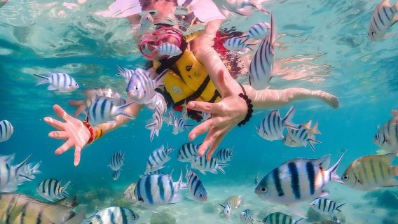 1-day island-hopping tour to Koh Larn from Pattaya, Thailand | Snorkeling / Scuba Diving / Water Activities | Hotel Transfer