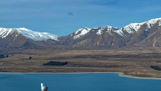 紐西蘭基督城來回蒂卡波湖-好牧羊人教堂包車-精選行程