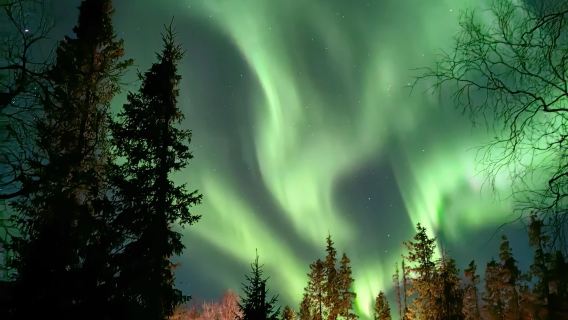 Вместе в Мурманск: охота за северным сиянием - профессиональная фотосъемка в полярную ночь (совместный трансфер/индивидуальный трансфер/аренда автомобиля с водителем)