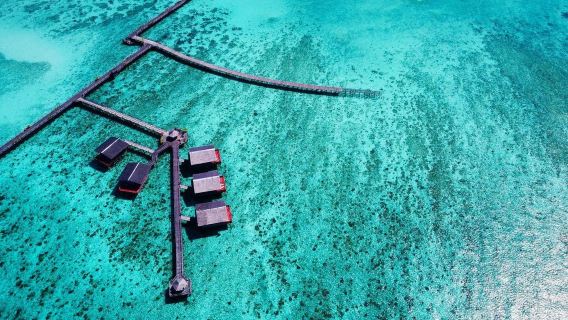 Dragon Pearl Resort, Isola di Pom Pom, Malesia|Villa con attività di snorkeling (snorkeling gratuito: uso illimitato dello snorkeling nelle acque del resort)