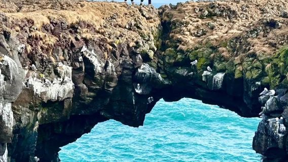 冰島雷克雅未克-太陽航海者-藍湖可追極光多日包車-精選