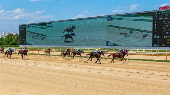 타임 트래블 코리아: 전통과 현대를 아우르는 3일 간의 여정