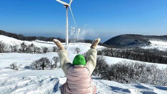 [冬季限定] 發王山觀光纜車 + 大關嶺羊群牧場