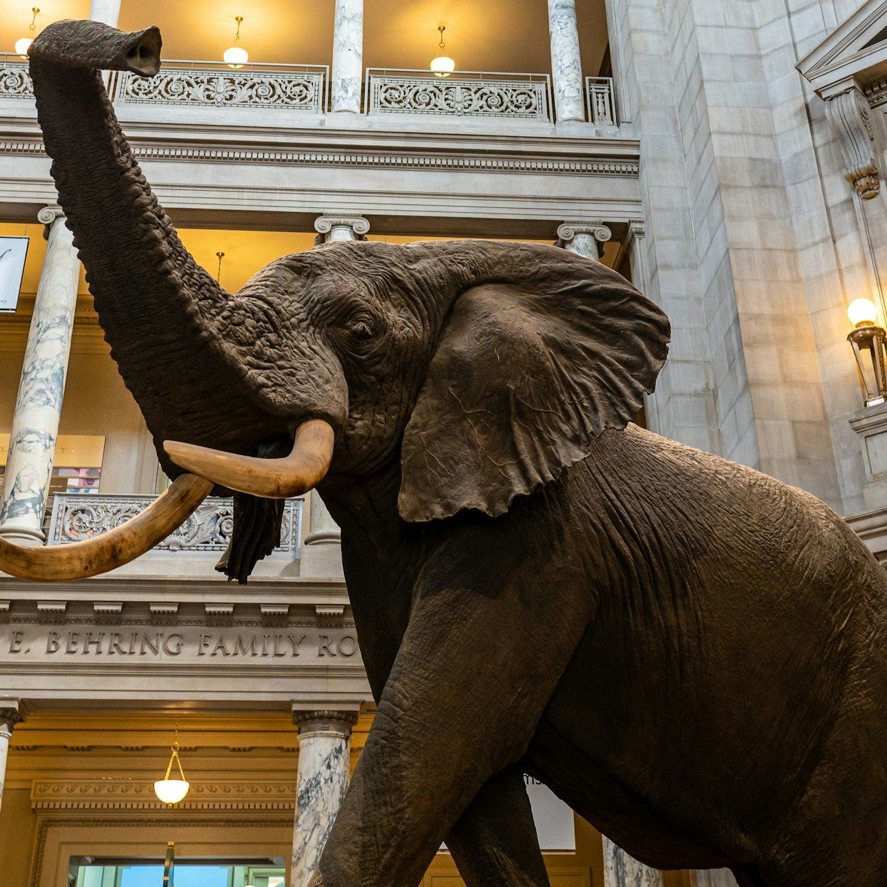 Smithsonian Institution Museums: Guided Walking Tour + Air & Space Timed Entry