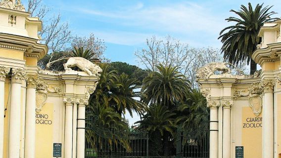 Bioparco di Roma : Billet d'entrée + Tramezzino