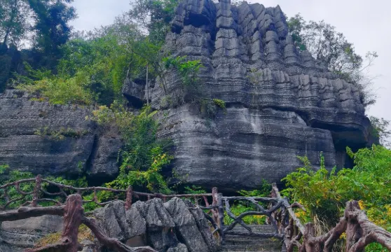湖北恩施梭布埡石林+青龍台蓮花寨 一日遊中英文服務不含門票