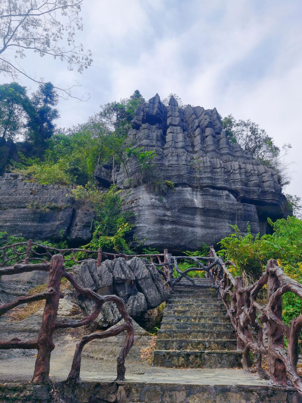 1-Day Tour with Private Charter in Hubei Enshi: Suobuya Stone Forest + Qinglongtai Lotus Village + Tusi City (Chinese and English Services)