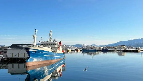 Tromso Ersfjordbotn Fjord + Fishing Village Private Charter with Chinese Service