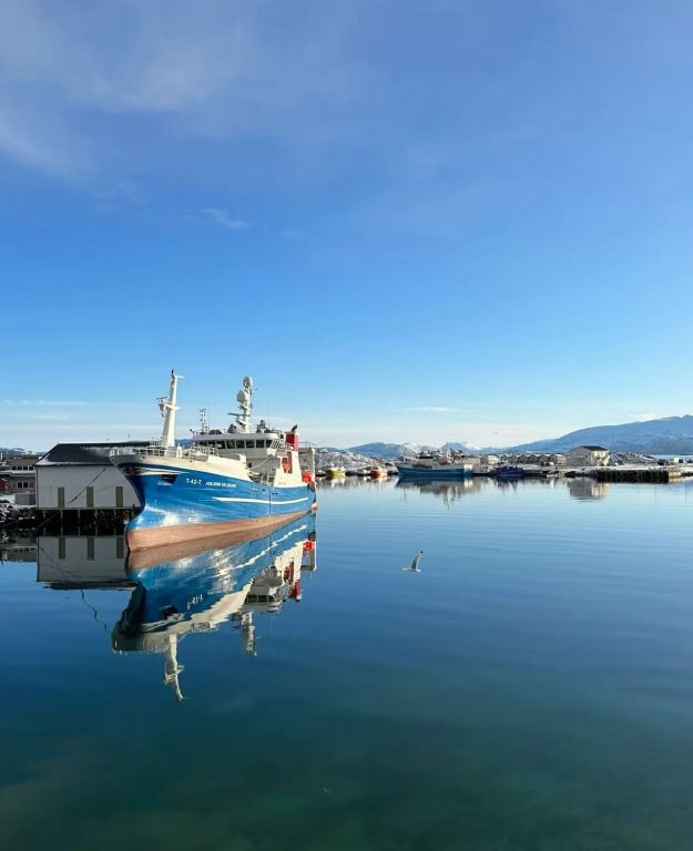 挪威特羅姆瑟Ersfjordbotn峽灣+漁村【中文包車】