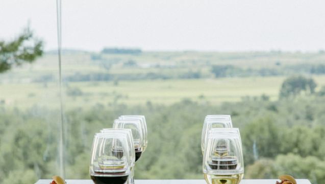 Jean Leon Winery: Tur Terpandu + Penyandingan Wine & Tapas