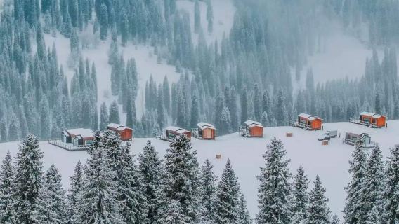 庫爾德寧一日遊