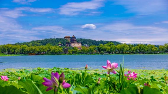 Beijing Mutianyu Great Wall & Summer Palace 1-Day Tour | No-shoping | In-depth Commentary | Experienced Guide | Round-trip Transfer