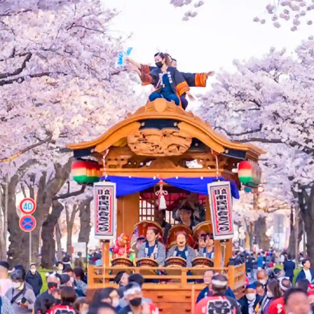Hitachi Cherry Blossom Matsuri + Amabiki Kannon Senbonzakura +