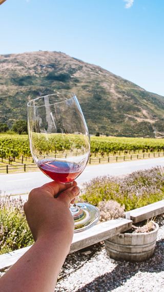 Queenstown wine tasting 1-day tour | 4 wineries · 18+ wines · Mercedes small group
