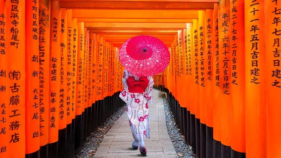 Kyoto one-day tour| Nijo Castle + Kinkakuji Temple + Fushimi Inari + Arashiyama Togetsukyo Bridge + Kimono Forest