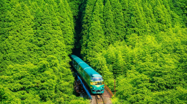 Beppu Sea Hell & Yufuin Forest Train Day Tour