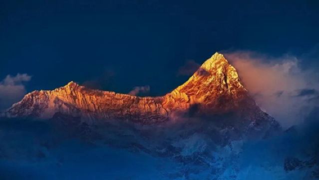 Lu Lang Forest & Namcha Barwa 1-Day Tour