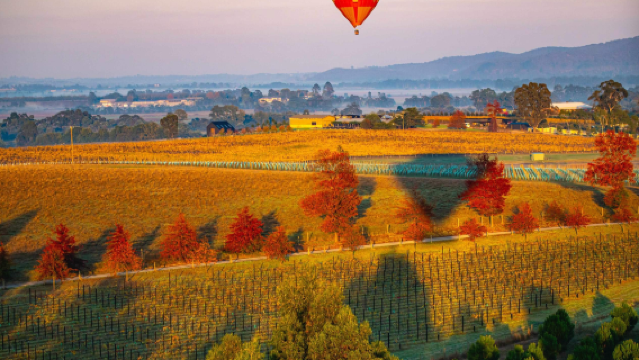 Hot Air Balloon Ride in Yarra Valley & Dandenongs Ranges, Australia