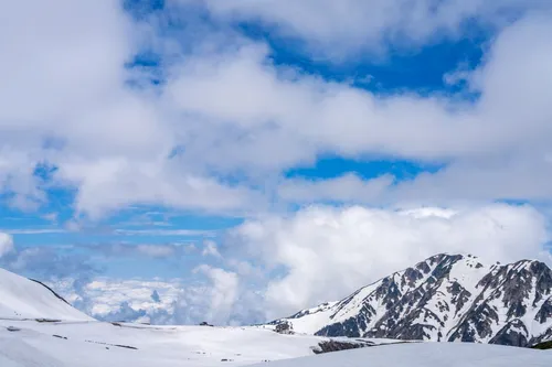 2026年立山黒部雪の大谷日帰りツアー【金沢発】 | Trip.com