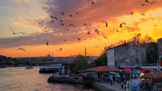 土耳其伊斯坦堡舊城區+市區定制包車【中文司機+免費定制】