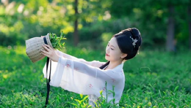 武夷山茶體驗之旅 拼茶點茶活動【大紅袍拼配+宋代點茶+品茗】