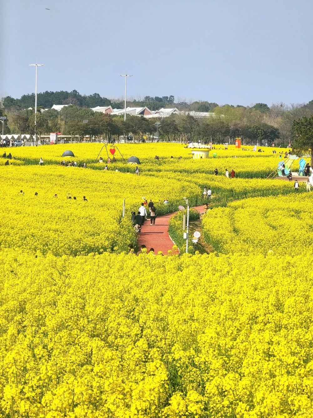 1-day tour of Gaochun spring 