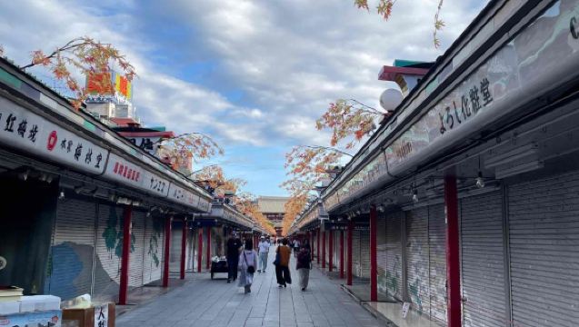 日本東京市區及周邊私人訂製包車遊/中文司機/到府接駁