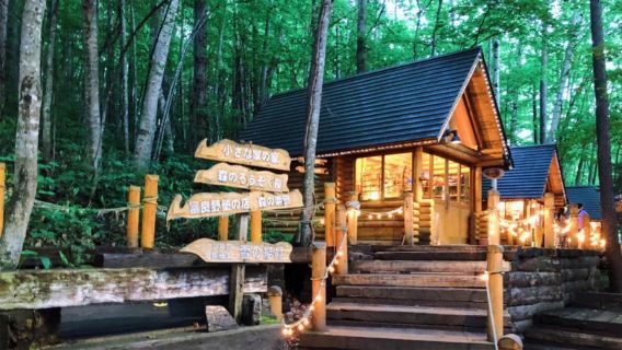 Dagstur till Furano blomsterfält, Biei, Blå dammen och Ningle Terrace i Hokkaido, Japan