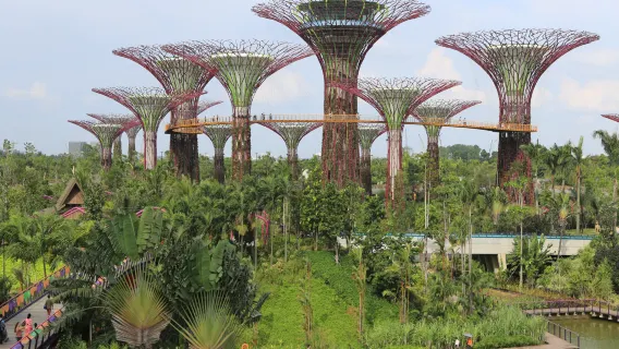 Сингапур Gardens By The Bay